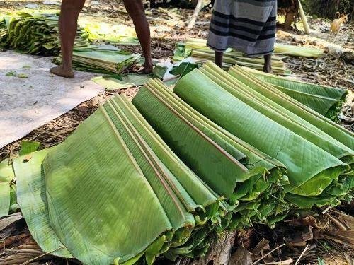 Banana Leaves - Image 4