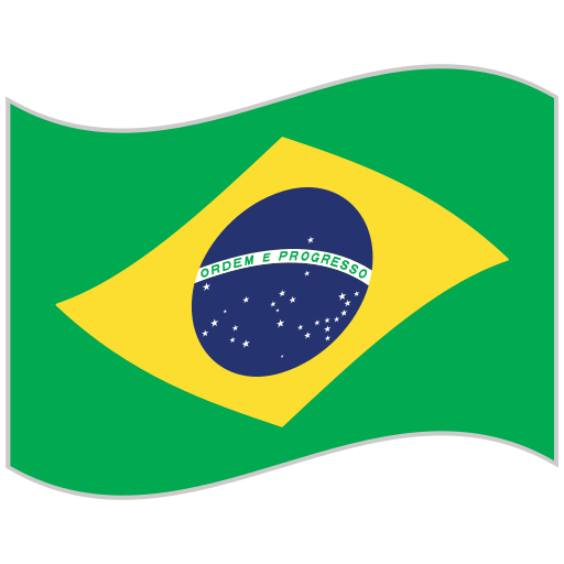 flag (11)